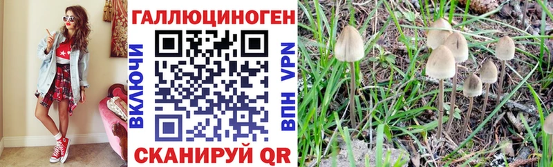 Галлюциногенные грибы ЛСД  ОМГ ОМГ маркетплейс  Дивногорск  купить закладку 